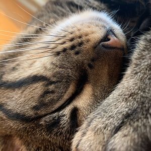 Meet your Posher, Katherine